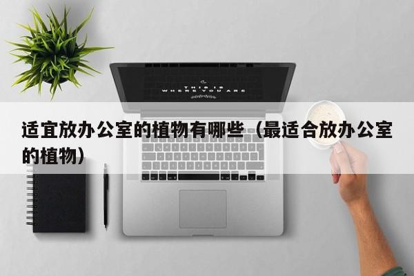 适宜放办公室的植物有哪些（最适合放办公室的植物） 